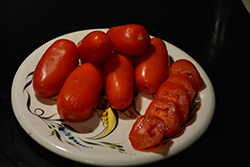 Health Kick Tomato (Solanum lycopersicum 'Health Kick') at Green Haven Garden Centre
